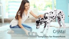  Presentation with dog feeds - Slide deck with female owner feeding her dalmatian background and a cool aqua colored foreground