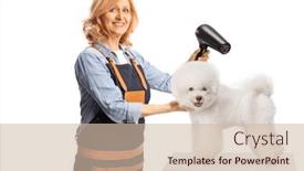  Presentation with pet - PPT layouts enhanced with female-pet-groomer-drying background and a soft green colored foreground