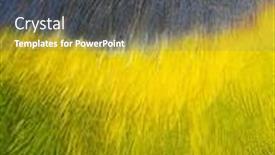  Presentation with female - Presentation theme having female-plum-headed-parakeet-psittacula background and a dark gray colored foreground