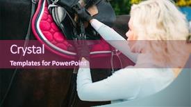  Presentation with horse riding - Audience pleasing presentation design consisting of female rider preparing a horse backdrop and a violet colored foreground