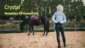  Presentation with horse riding - Audience pleasing slides consisting of female rider trains her horse backdrop and a  colored foreground