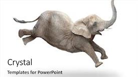  Presentation with african - Presentation having female running and jumping animal background and a white colored foreground