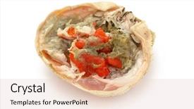  Presentation with ovary - Presentation design enhanced with female snow crab ovary japanese background and a  colored foreground