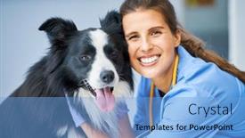  Presentation with vet - PPT theme featuring female-vet-examining-a-dog background and a light blue colored foreground