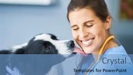  Presentation with vet - Amazing presentation theme having female-vet-examining-a-dog backdrop and a teal colored foreground