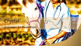  Presentation with ranch - Presentation theme with female vet stroking horse while background and a yellow colored foreground