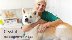  Presentation with female office graphics - PPT theme with female veterinarian examining a dog background and a coral colored foreground