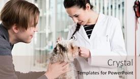  Presentation with vet - Slide set featuring female veterinarian examining ear of a puppy at vet clinic background and a coral colored foreground