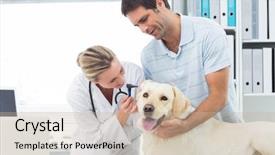  Presentation with medical ear nose throat vertigo - Slides consisting of female veterinarian examining ear background and a soft green colored foreground