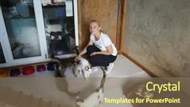  Presentation with animal shelter - Slide deck with female volunteer with homeless cats in animal shelter background and a violet colored foreground