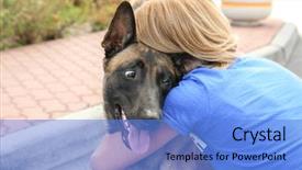  Presentation with homeless - Theme consisting of female volunteer with homeless dog background and a light blue colored foreground