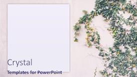  Presentation with branding - PPT theme with feminine-template-for-branding-identity background and a sky blue colored foreground