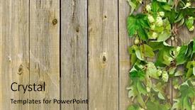 Presentation with climber plant - Slides having fence and a climber plant background and a coral colored foreground