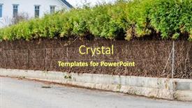  Presentation with privacy - Amazing PPT layouts having fence and green hedge a symbol of growth privacy generational change backdrop and a tawny brown colored foreground