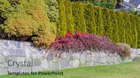  Presentation with privacy - Cool new slide set with fence-built-from-trees backdrop and a seafoam green colored foreground