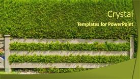  Presentation with privacy - Presentation theme featuring fence-built-from-wood-outdoor background and a tawny brown colored foreground