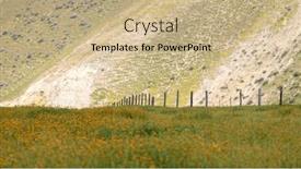  Presentation with wildflower meadow - 