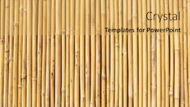  Presentation with bamboo - Beautiful PPT layouts featuring fence-made-of-bamboo-sticks backdrop and a yellow colored foreground