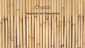  Presentation with bamboo - Colorful presentation enhanced with fence-made-of-bamboo-sticks backdrop and a coral colored foreground