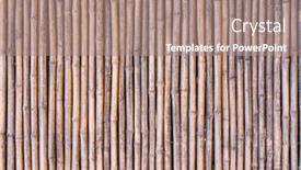  Presentation with bamboo - Colorful slide deck enhanced with fence-made-of-bamboo-sticks backdrop and a coral colored foreground