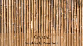  Presentation with bamboo - Beautiful PPT layouts featuring fence-made-of-bamboo-sticks backdrop and a coral colored foreground