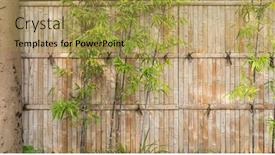  Presentation with bamboo - Presentation design with fence-made-of-bamboo-sticks background and a gold colored foreground