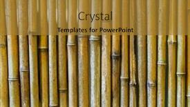  Presentation with bamboo - PPT theme enhanced with fence-made-of-bamboo-sticks background and a gold colored foreground