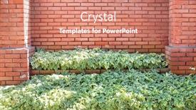  Presentation with dogwood - Slide deck having fence-of-bricks-with-decorative background and a coral colored foreground