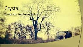  Presentation with mask - PPT theme with fence post with dramatic landscape background and a blonde colored foreground