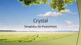  Presentation with wheat - Slide deck having fence with a view of the field of young wheat background and a light blue colored foreground