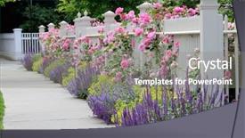 Presentation with vibrant blue - Colorful presentation enhanced with fence with flowers pink roses backdrop and a gray colored foreground