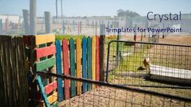  Presentation with ranch - 