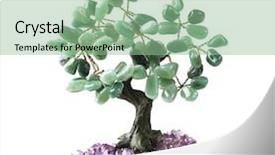  Presentation with money tree - Amazing slides having feng - green aventurine money tree isolated backdrop and a  colored foreground