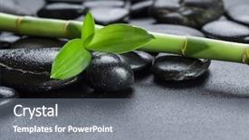  Presentation with lucky bamboo - Presentation design featuring feng - lucky bamboo on the black background and a gray colored foreground