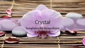  Presentation with feng shui - Cool new PPT layouts with feng shui - macro of pink orchid backdrop and a lemonade colored foreground