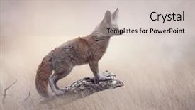  Presentation with fennec - Amazing theme having fennec fox on a tree backdrop and a soft green colored foreground