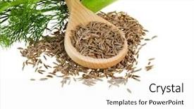  Presentation with floral border over white - Cool new presentation with fennel and dill isolated backdrop and a white colored foreground