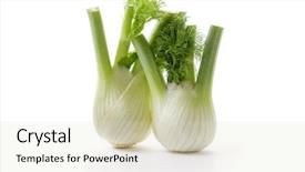  Presentation with bulb - Presentation theme consisting of fennel bulb two fresh fennel background and a soft green colored foreground