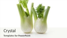  Presentation with bulb - Slide deck enhanced with fennel bulb two fresh fennel background and a soft green colored foreground