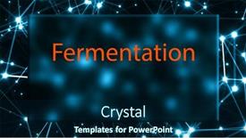  Presentation with fermentation - Slide deck consisting of fermentation-the-study background and a navy blue colored foreground