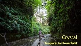  Presentation with fern - Presentation theme having fern-canyon-in-redwoods-national background and a wine colored foreground