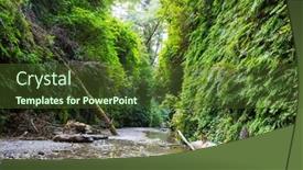  Presentation with fern - Presentation theme featuring fern-canyon-in-redwoods-national background and a tawny brown colored foreground