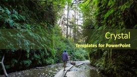  Presentation with fern - Theme having fern-canyon-in-redwoods-national background and a tawny brown colored foreground