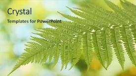  Presentation with biology - Slide deck featuring fern on green background close background and a  colored foreground