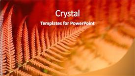  Presentation with tropical forest - PPT theme having fern green leaf in tropical background and a crimson colored foreground