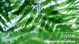  Presentation with fern - Theme consisting of fern-growing-in-forest-summer background and a shamrock green colored foreground