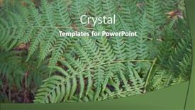  Presentation with indonesian forest - Cool new PPT theme with aotearoa - fern in the forest backdrop and a ocean colored foreground