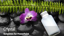  Presentation with fern - Audience pleasing PPT theme consisting of fern leaf with pink orchid backdrop and a dark gray colored foreground