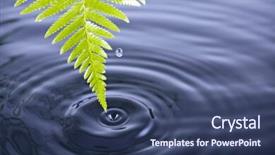  Presentation with ripples - Colorful PPT theme enhanced with fern leaf with water drop and ripples backdrop and a ocean colored foreground