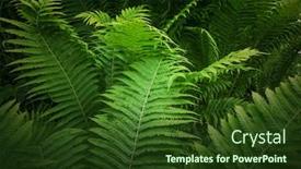  Presentation with tropical forest - Cool new presentation design with fern-leaves-in-tropical-forest backdrop and a tawny brown colored foreground